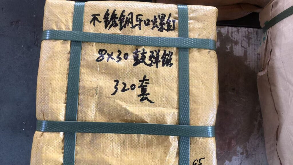 stainless steel fang elevator bolt m8×30